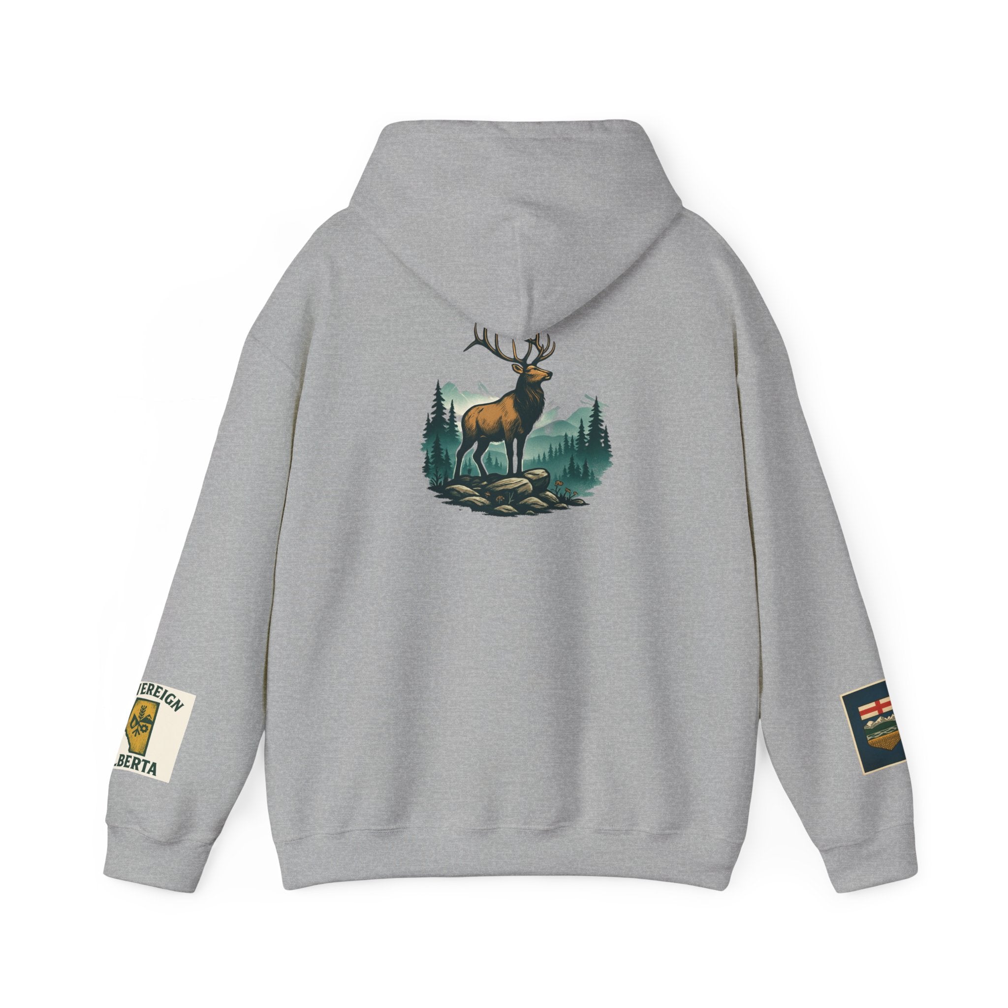 Unisex Heavy Blend™ Hooded Sweatshirt