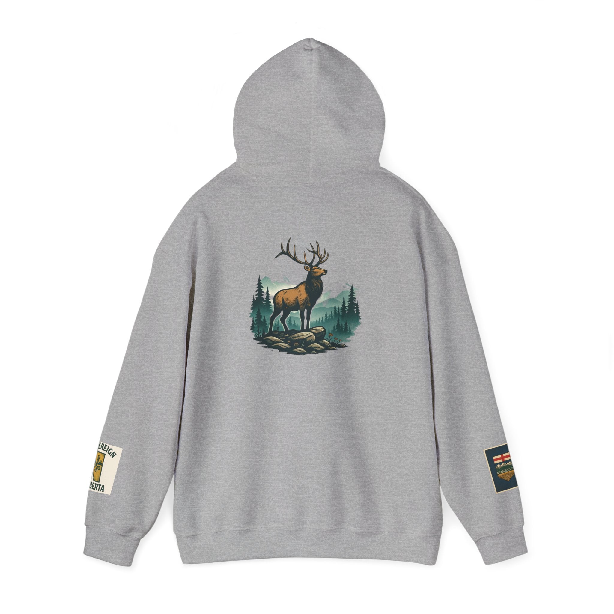 Unisex Heavy Blend™ Hooded Sweatshirt